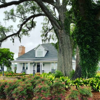 South wind plantation luxury trip