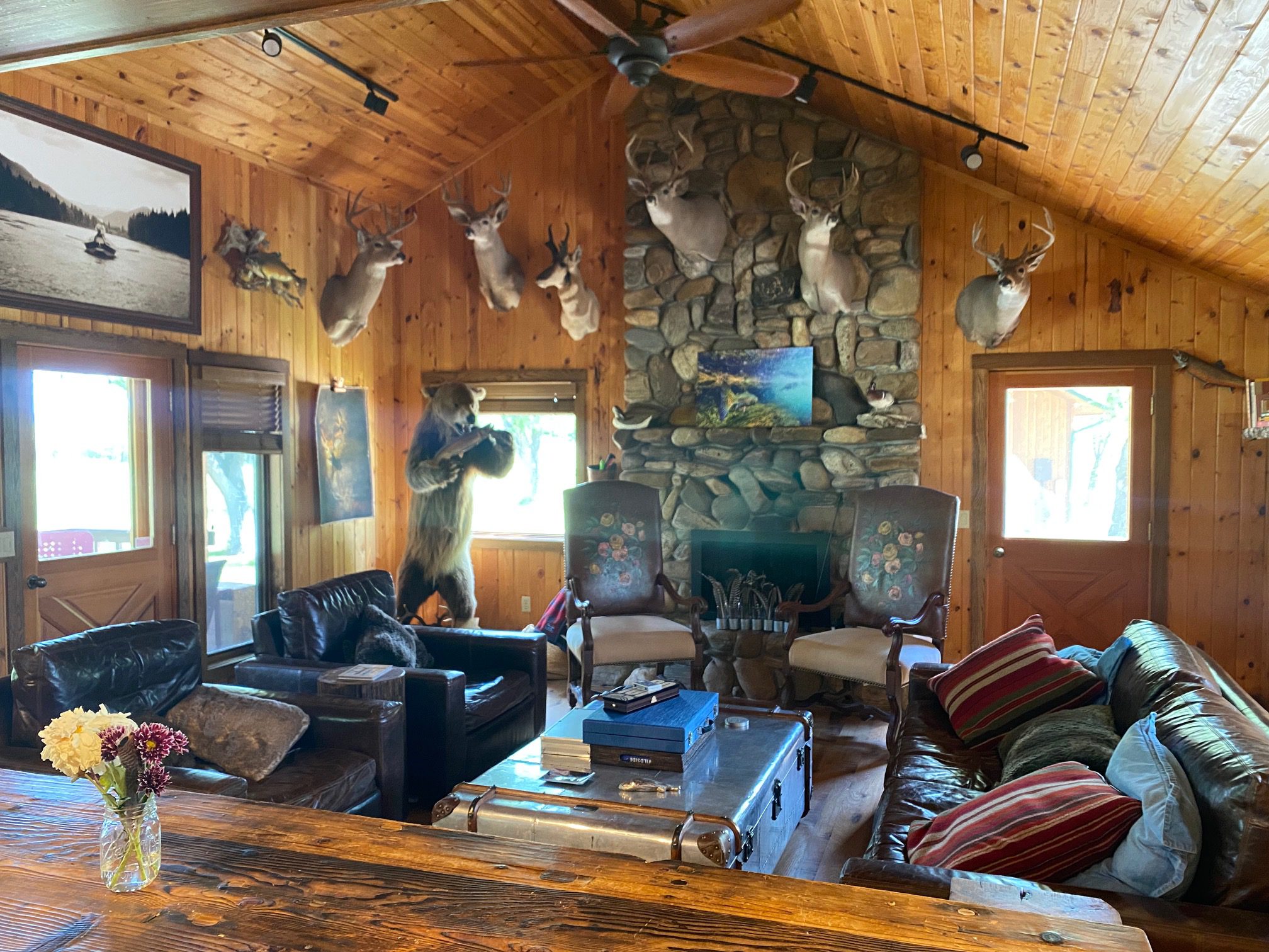 Living room with stuffed animal heads at Ruby Drake Lodge